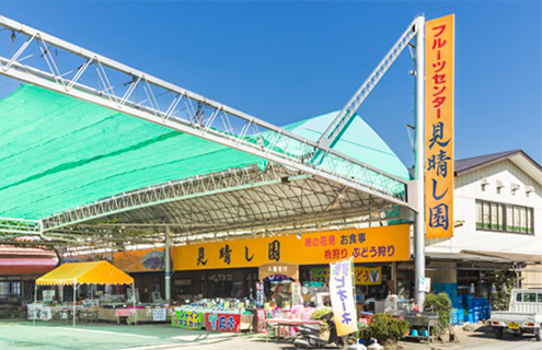 山梨のフルーツ狩り（桃・ぶどう）・お食事処｜見晴し園